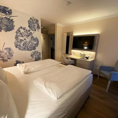 Ξενοδοχείο Safranberg & Sauna 3*