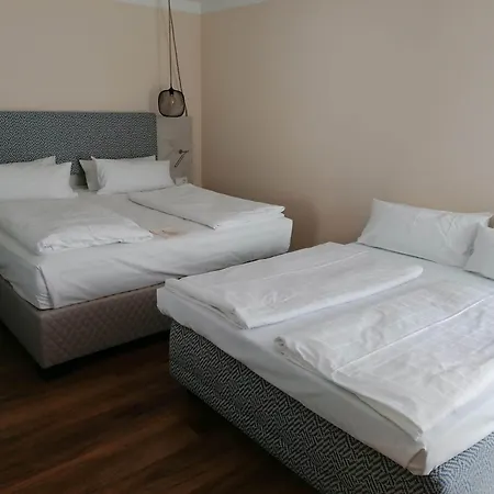 ホテル Safranberg & Sauna 3*