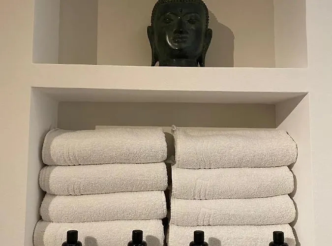 Safranberg & Sauna 3* Ульм