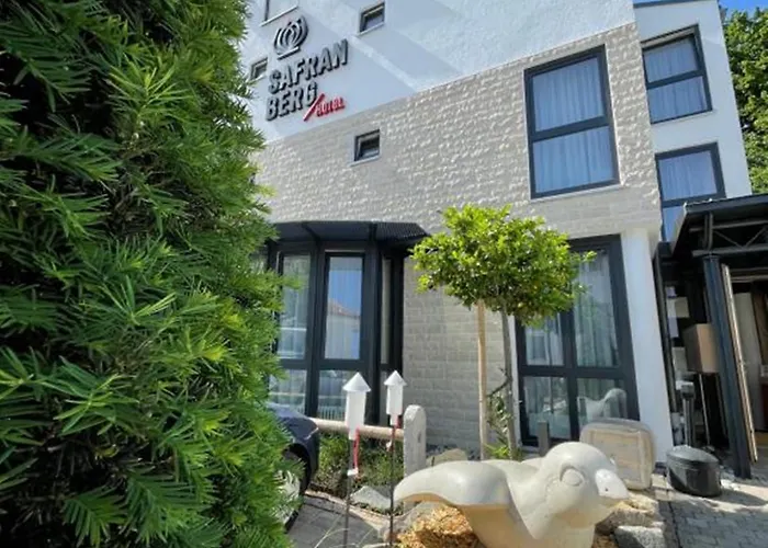 Safranberg & Sauna 3* Ульм